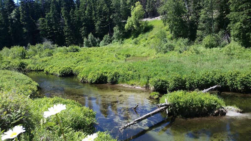 The Beloved Idaho Lake Community Where A Major Development Plan Has Locals Fighting Back - Decor Hint See Why A Proposed Development Near The Lake Is Drawing So Much Attention
