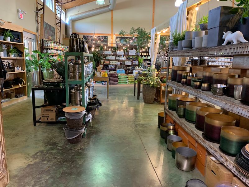 Where It All Begins