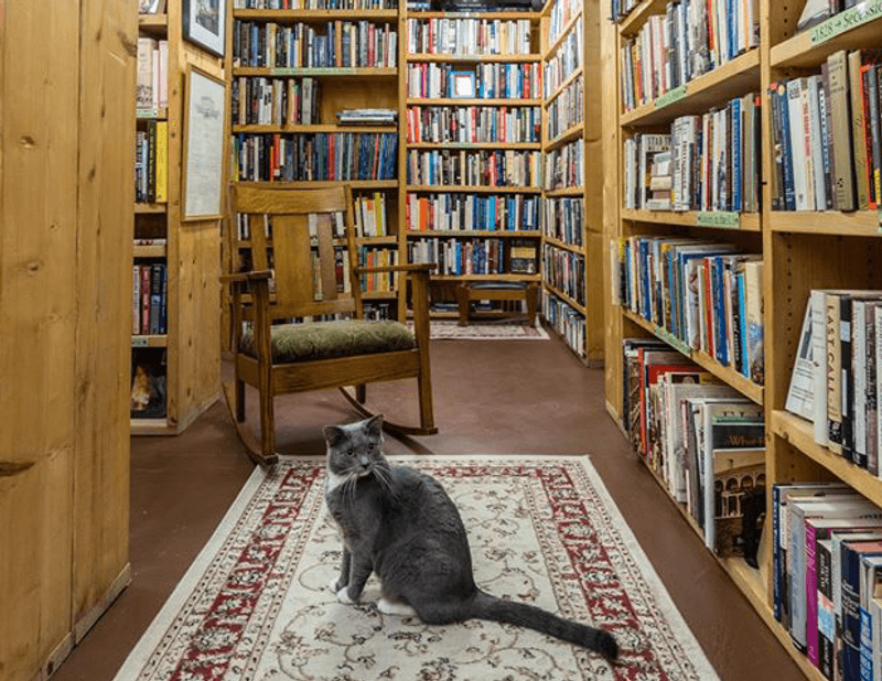 A Novel Idea Bookstore, Lincoln