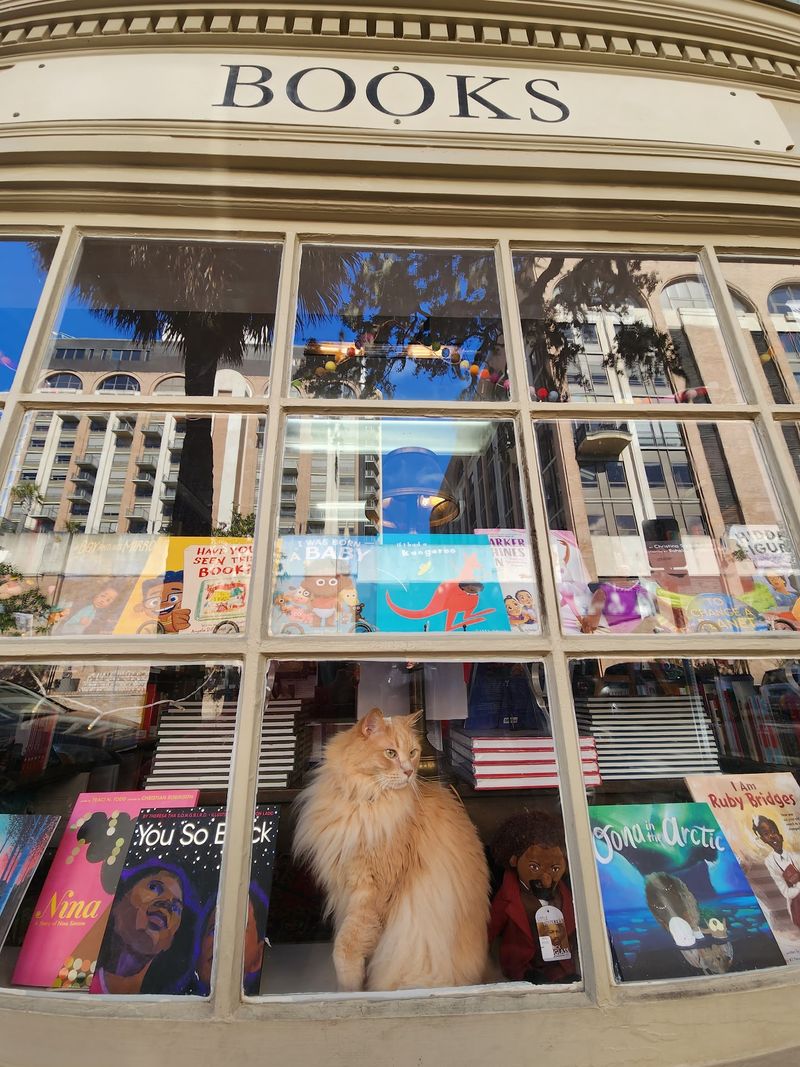 10 Georgia Used Bookstores Every Book Lover Should Visit In 2026 - Decor Hint E. Shaver Booksellers, Savannah