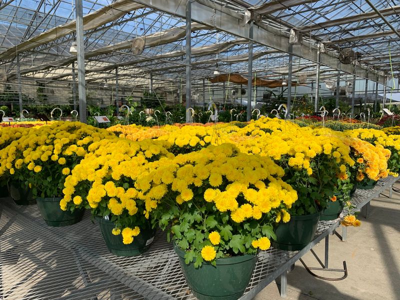 The Nursery Grounds Are Worth Exploring