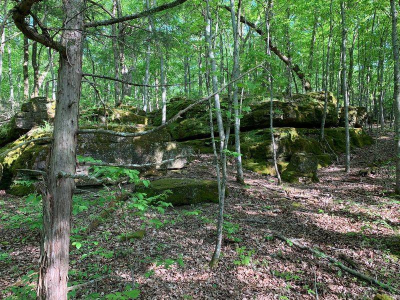 You Might Think You're In Scotland When You Visit This Missouri Town - Decor Hint Ozark Nature Right At Your Doorstep