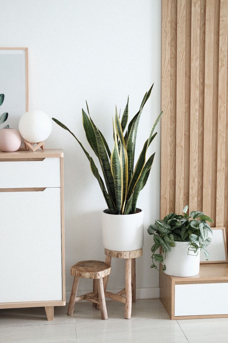 Furniture And Home Goods That Tell A Story