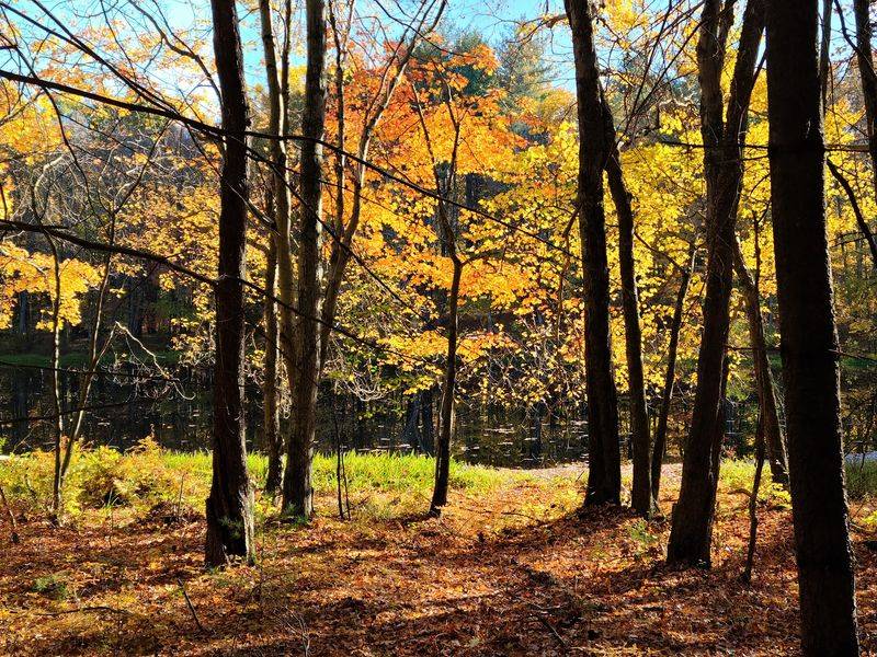 Wooded Trails Make This Park A Rider Favorite