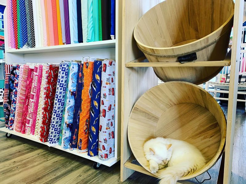 This Kentucky Fabric Shop Has Been Selling Bolts Since 1964 - Decor Hint Why Sixty Years Still Matters