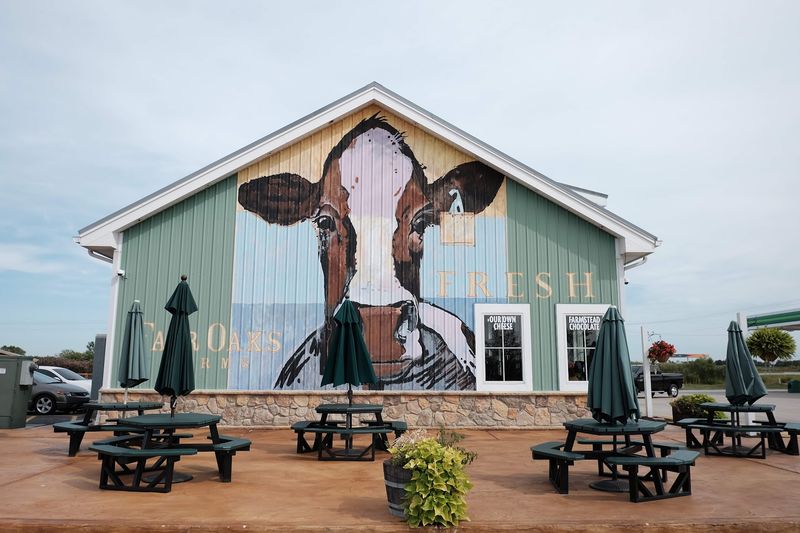 This Indiana Farm Destination Lets You Meet Animals, Explore Scenic Grounds, And Stay Overnight - Decor Hint Fresh Dairy Products And The On-Site Shop Are Worth Browsing