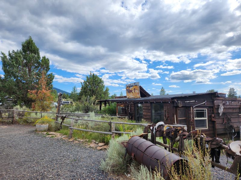 A Chuck Wagon Story Under A Giant Juniper