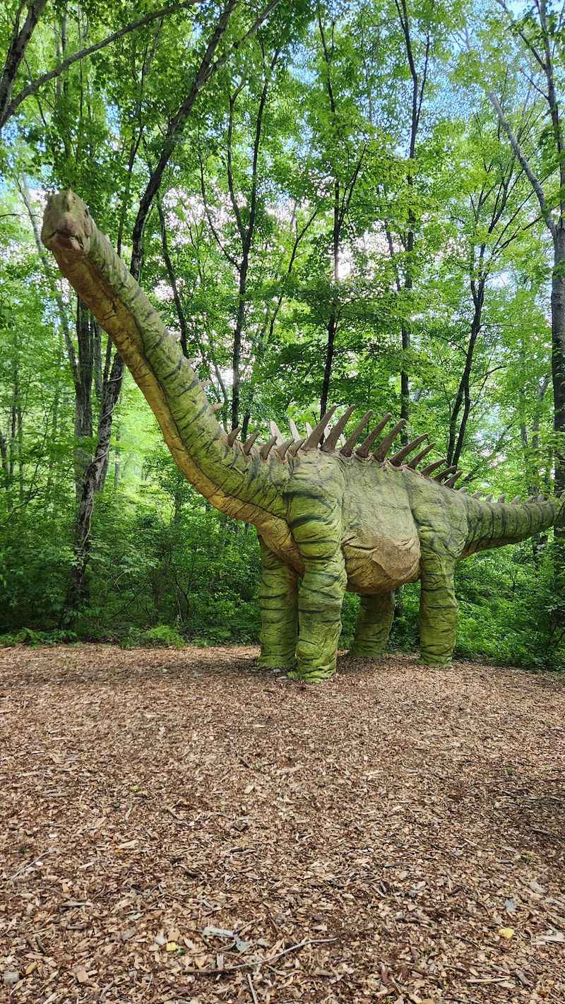 The Enchanting Connecticut Dinosaur Attraction That Feels Straight Out Of Jurassic Park - Decor Hint Dinosaurs Waiting Around Every Corner