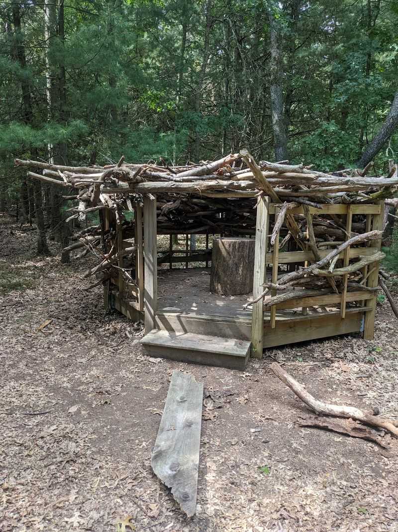 Woodland Surprises Keep Kids Looking Ahead