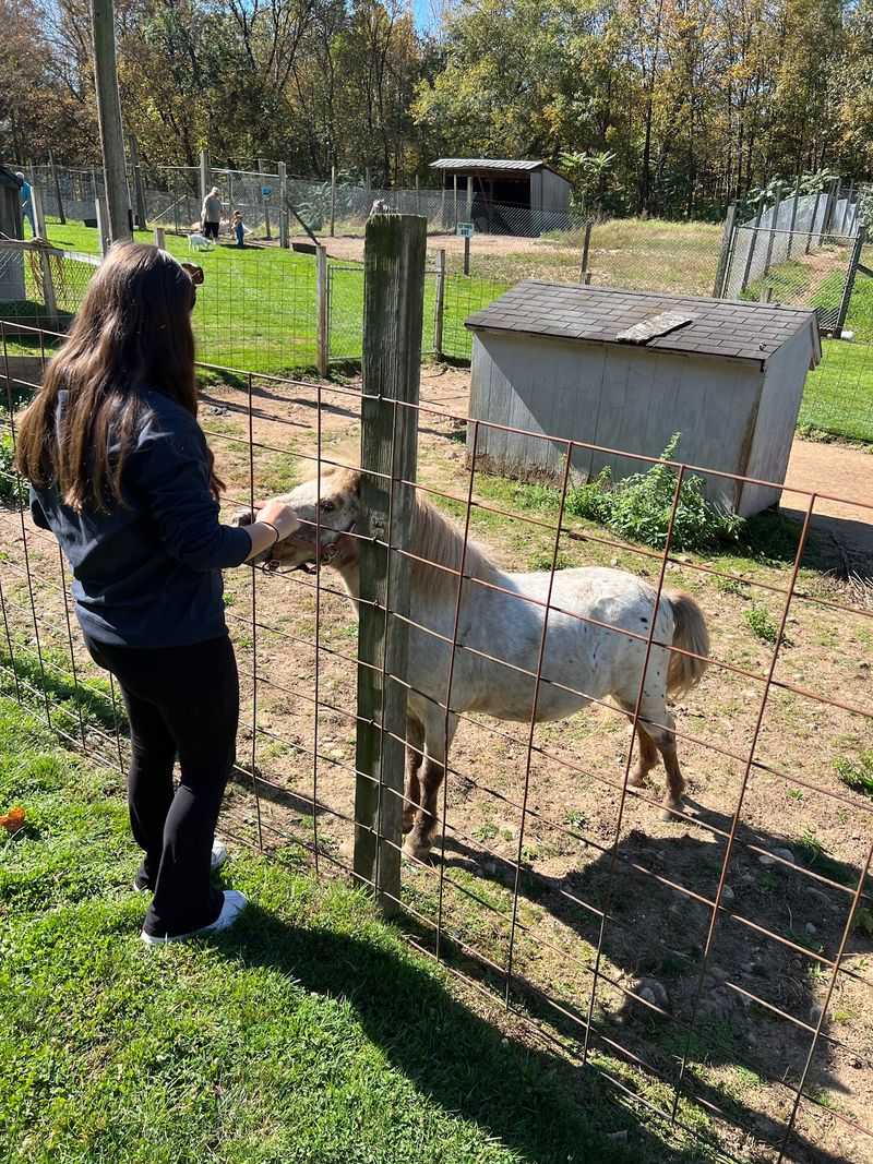 This Connecticut Animal Farm Lets You Feed Exotic Animals And Meet Everything From Zebras To Kangaroos - Decor Hint You Can Pet, Feed, And Meet The Animals Up Close