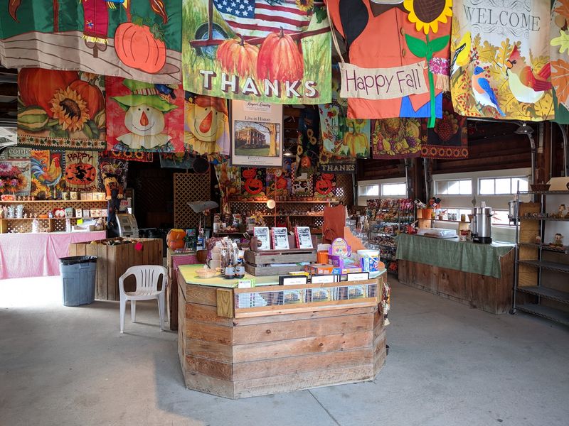 This Beautiful New York Farm Is Quietly Opening Its Apple Orchards Before The Fall Crowds Arrive - Decor Hint Cider Doughnuts Worth Driving For