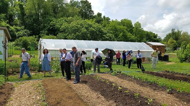 Sustainable Living And Eco-Friendly Culture