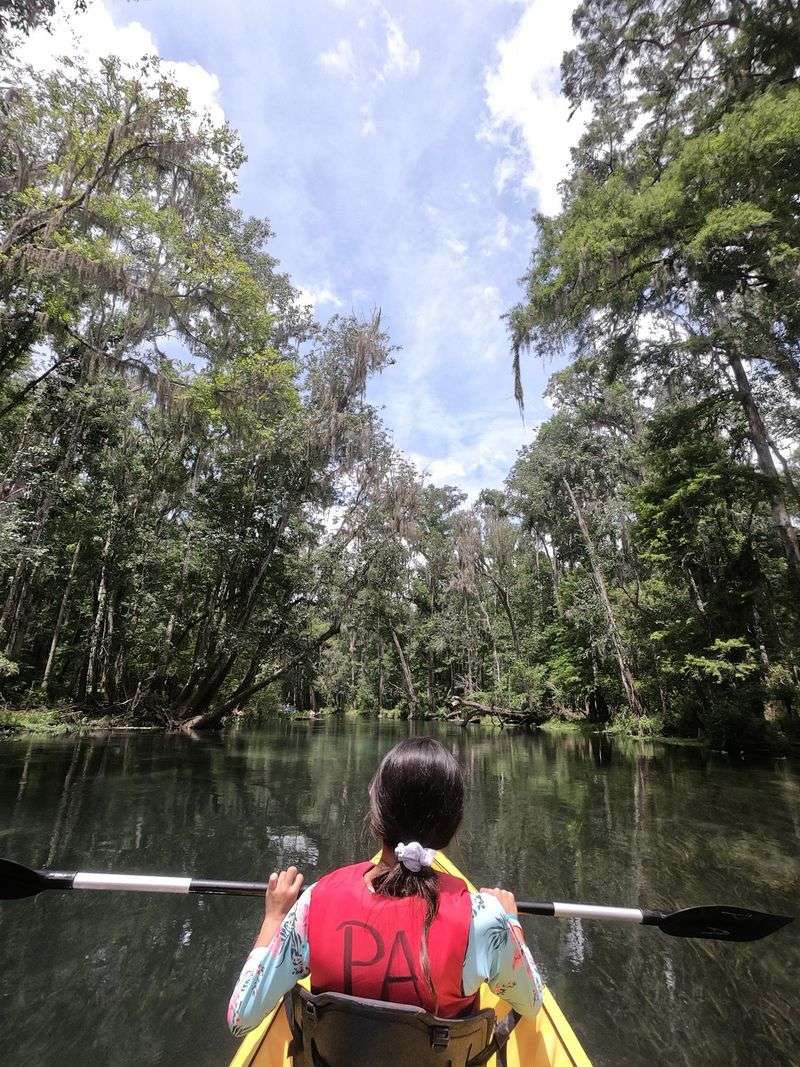 Paddling And Snorkeling Options