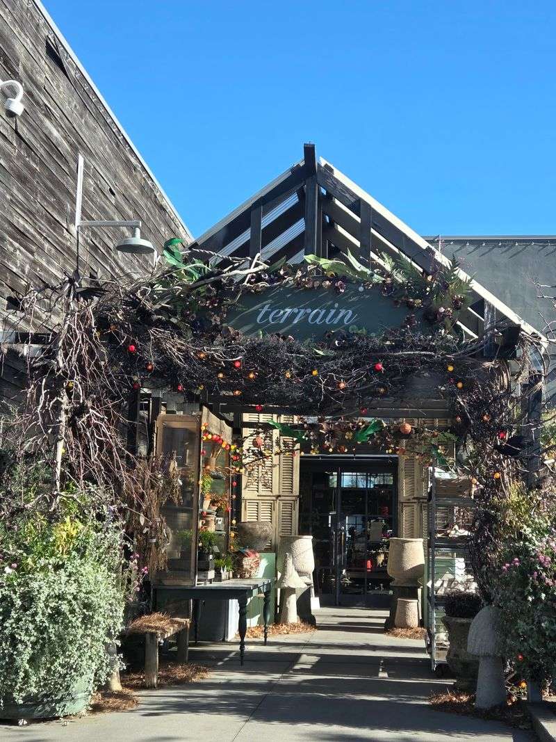 Terrain Cafe, Westport 