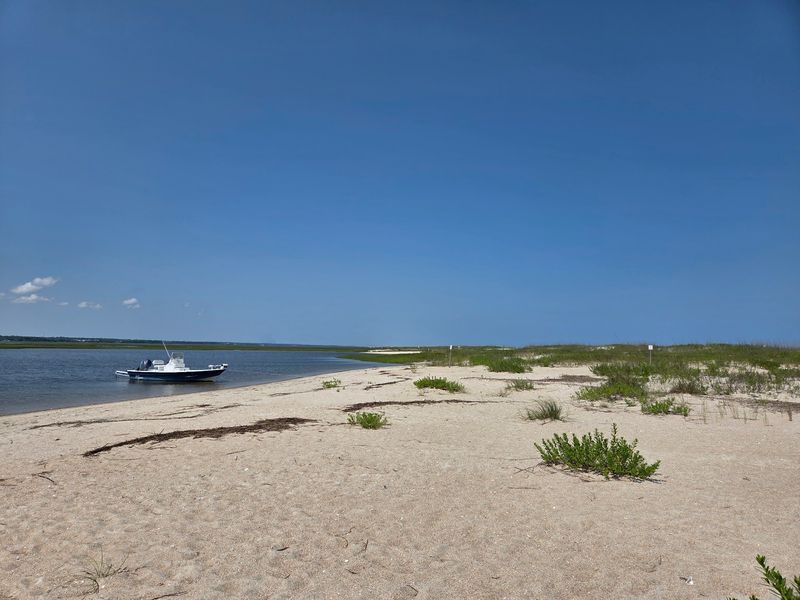 Arrive By Boat And Let The Island Feel Earned