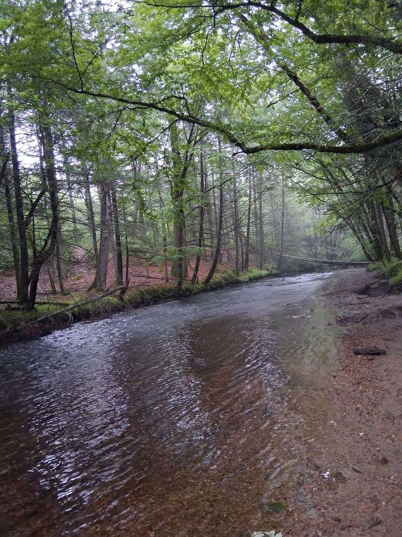 Forests, Fields, And Water Views