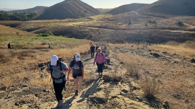 An Unusually Active Rattlesnake Season Has Put Hikers On Alert
