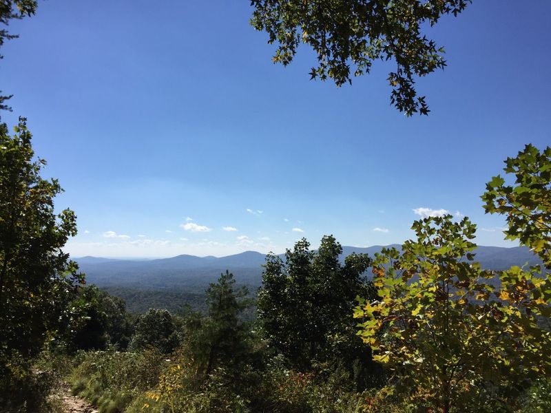 Eleven Thousand Acres Bought For One Bold Idea