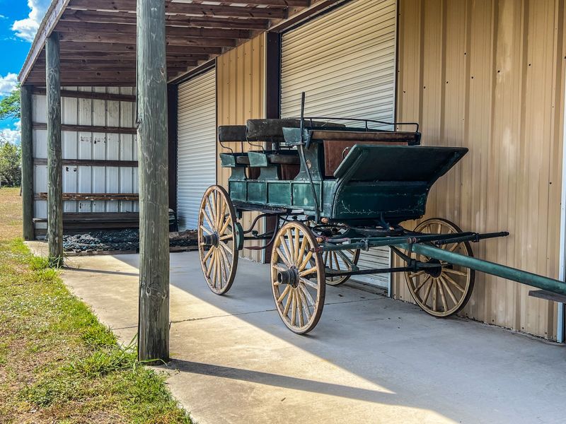 The Antique Car Collection