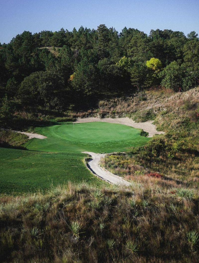 When A Mountain Lion Crossed A Golf Course Green
