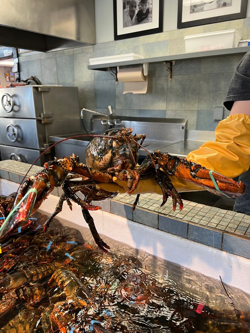 Nauset Fish & Lobster Pool, Orleans