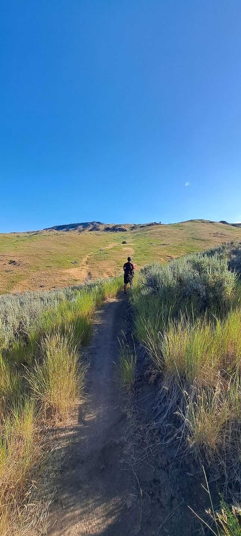 Wildlife Corridors Make Quiet Mornings Especially Worthwhile