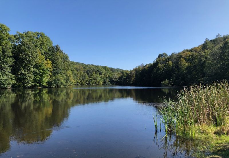 Lakes, Forests, And Wildlife Habitats