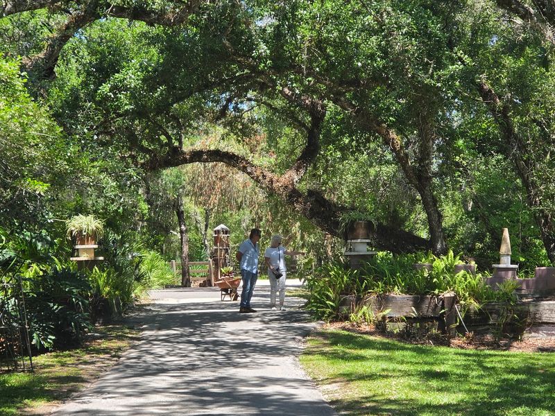 The Nature Trail Along Horse Creek