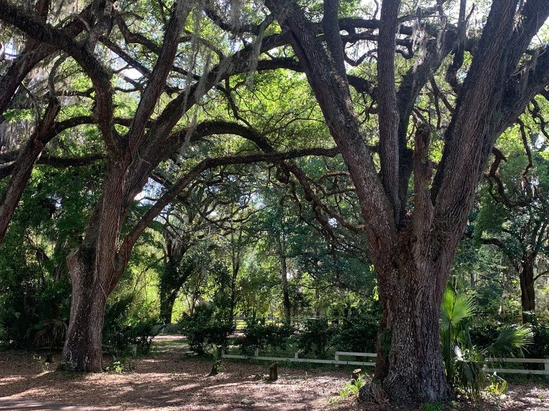 Paynes Prairie Preserve State Park