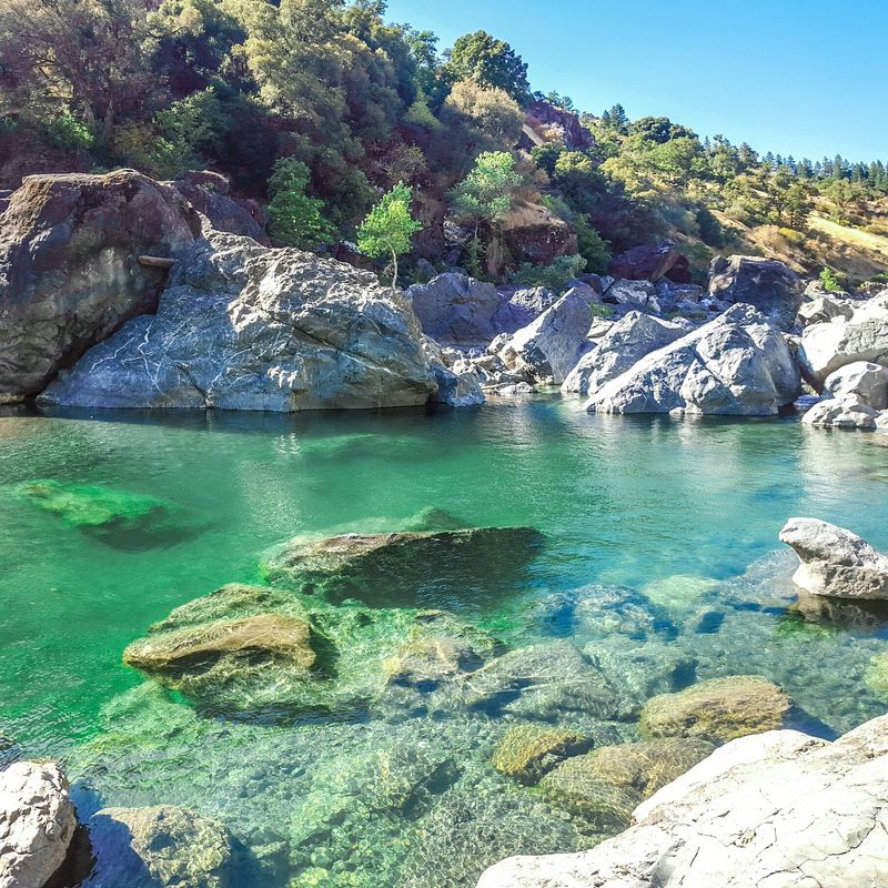 Welcome To This California Forest Where Even The Ticks Come With A Warning - Decor Hint One Fish Population Here Is Remarkably Important