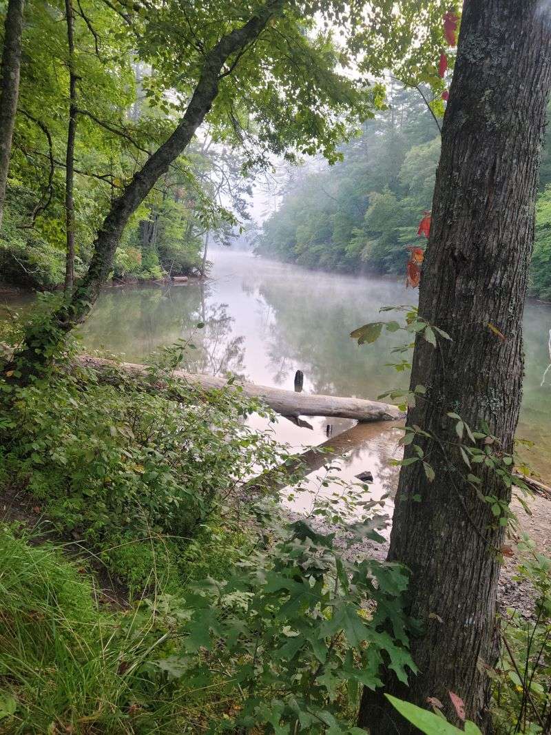 The North Carolina Lake With 76 Miles Of Mostly Undeveloped Shoreline And Barely Any Crowds - Decor Hint Find A Quiet Cove And Realize You Might Have It Almost To Yourself