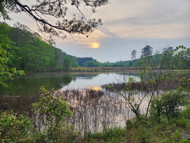 This Georgia City Has Tap Water So Good It Actually Earned An Award - Decor Hint Why Winder’s Award-Winning Tap Water Stands Out