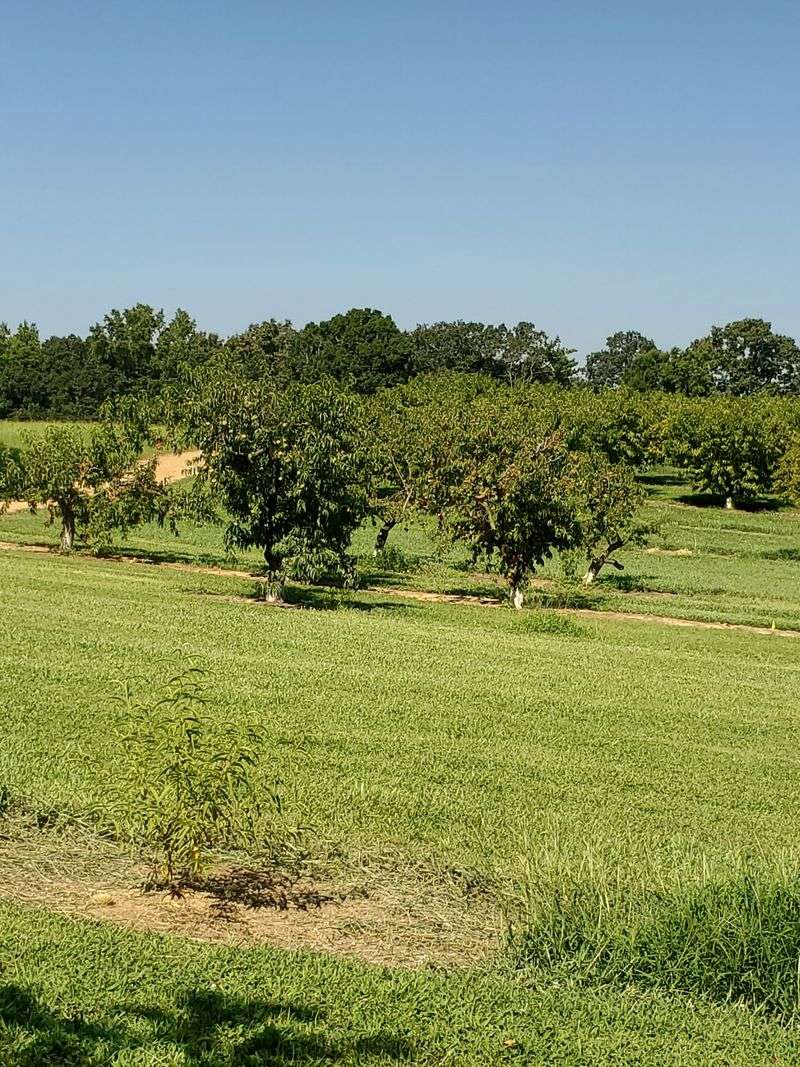 Millstone Creek Orchards