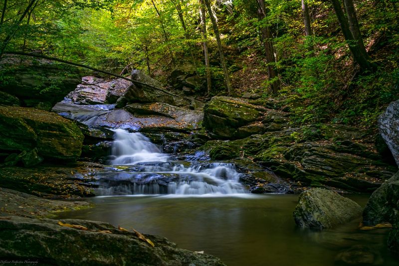 A Quiet Waterfall Hides Nearby For Anyone Willing To Explore Beyond The Road