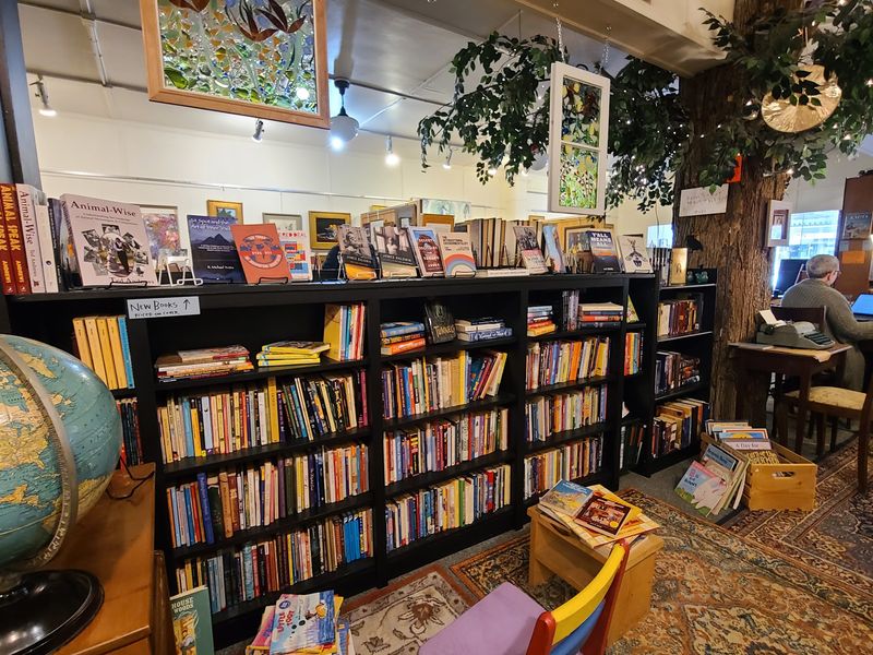 Mondragon Books