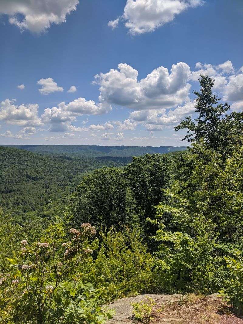 More Than A Thousand Acres Of Quiet