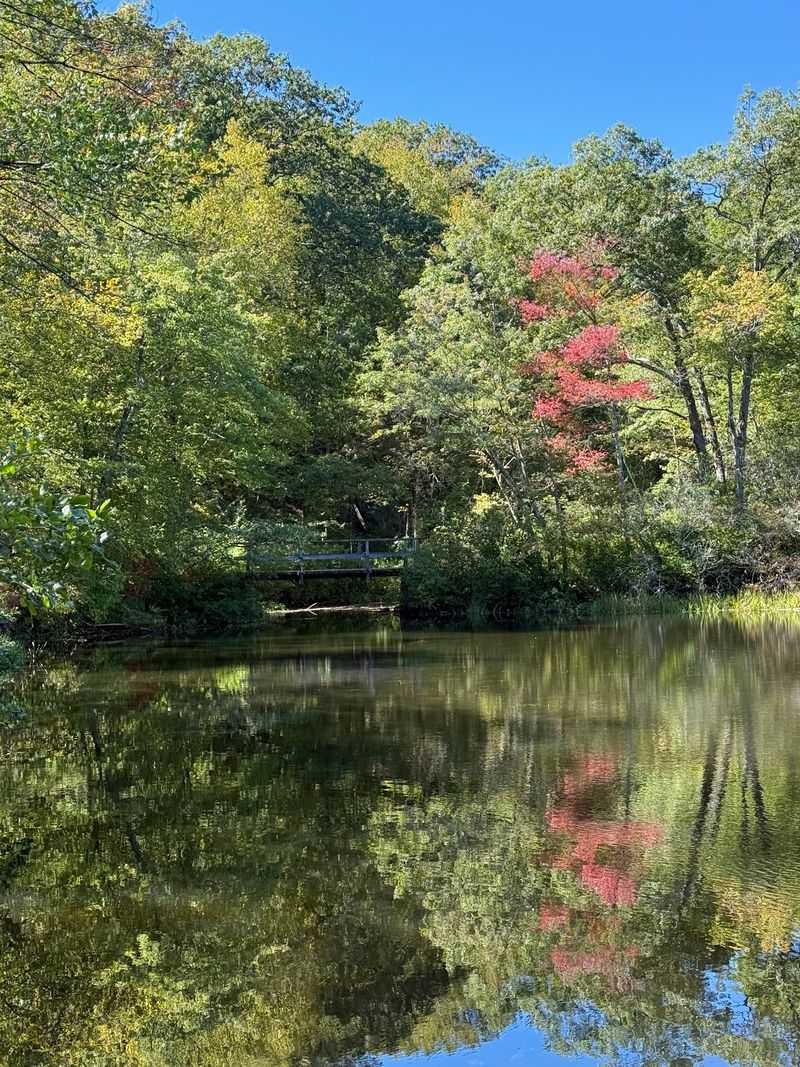 Five Ponds Break Up The Wooded Landscape