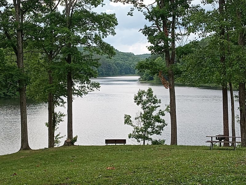 A Forest Wrapped Around A Quiet Lake