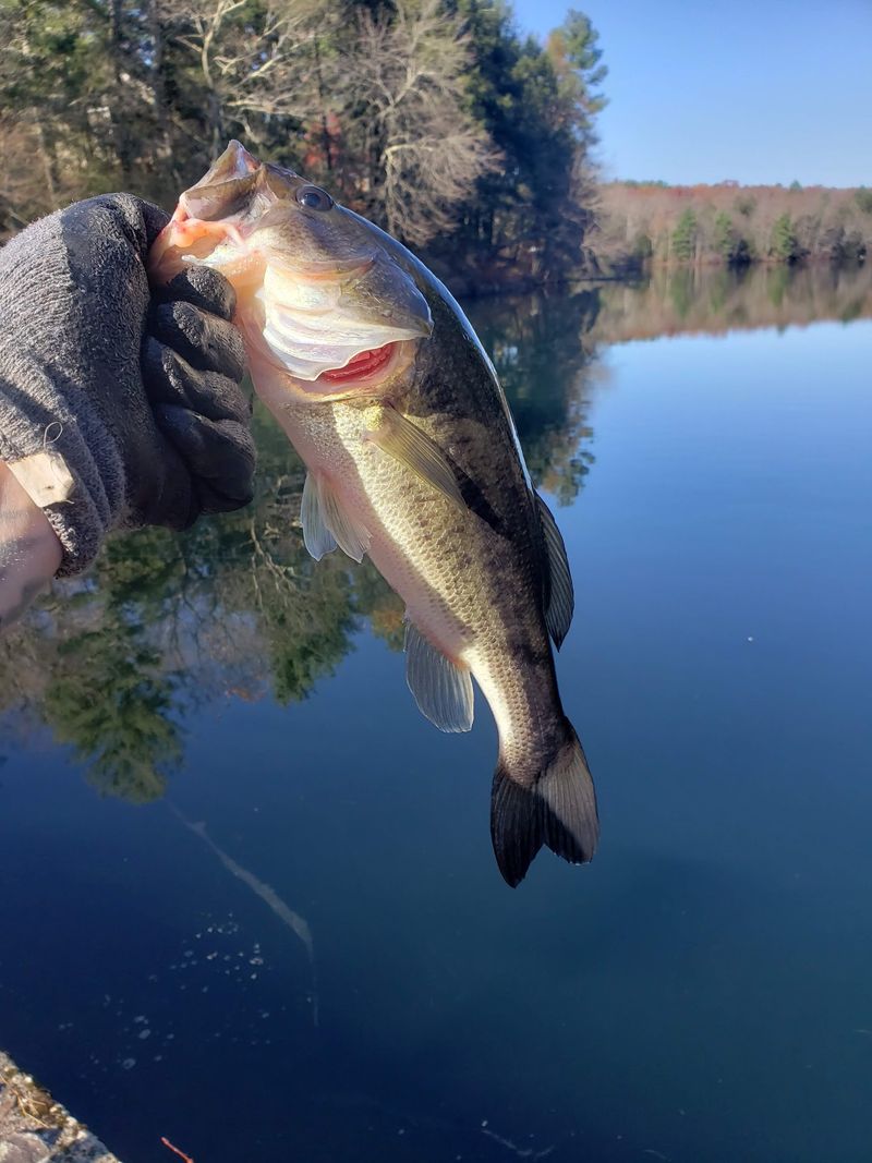 Why Locals Keep Talking About The Dam