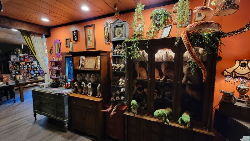 Step Inside A Connecticut Wizard Shop Where Custom Potions Are Made Right At The Counter - Decor Hint Fantasy Gifts Keep The Browsing Fun