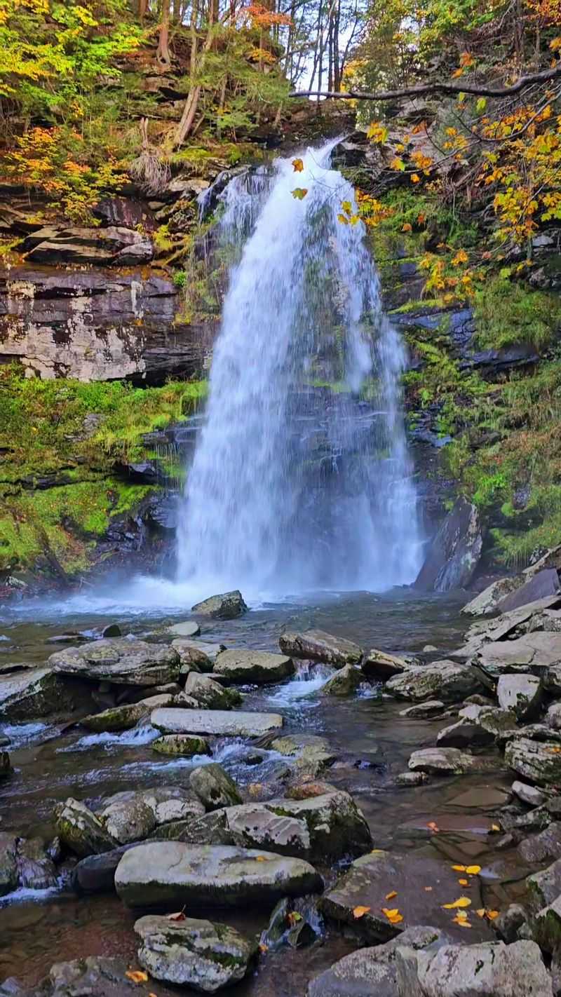 Plattekill Falls Will Stop You Cold