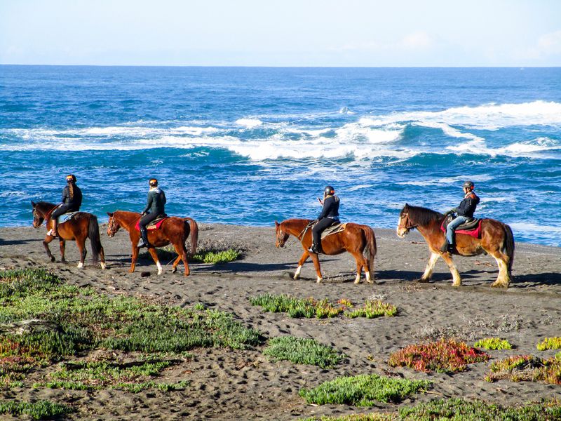 The Horses Head Straight Onto Ten Mile Beach