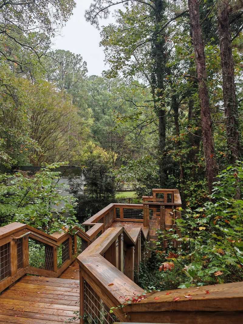 A Path Lined With Storybook Details
