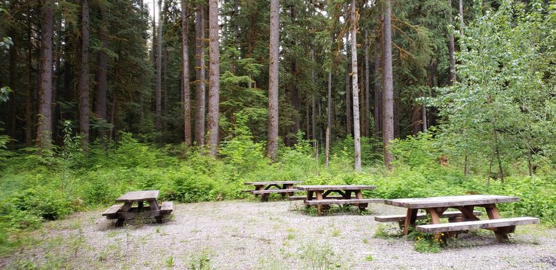 Benches Built For Lingering