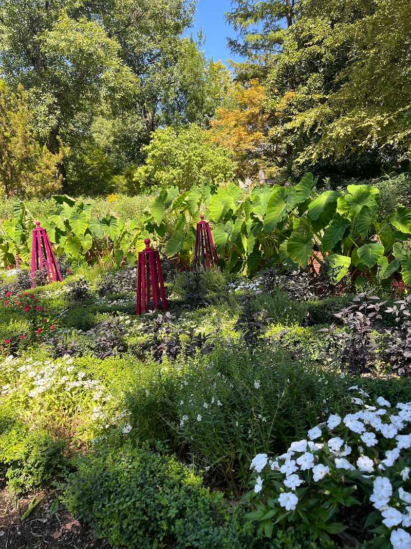 Raised Beds Invite Visitors To Explore Every Sense