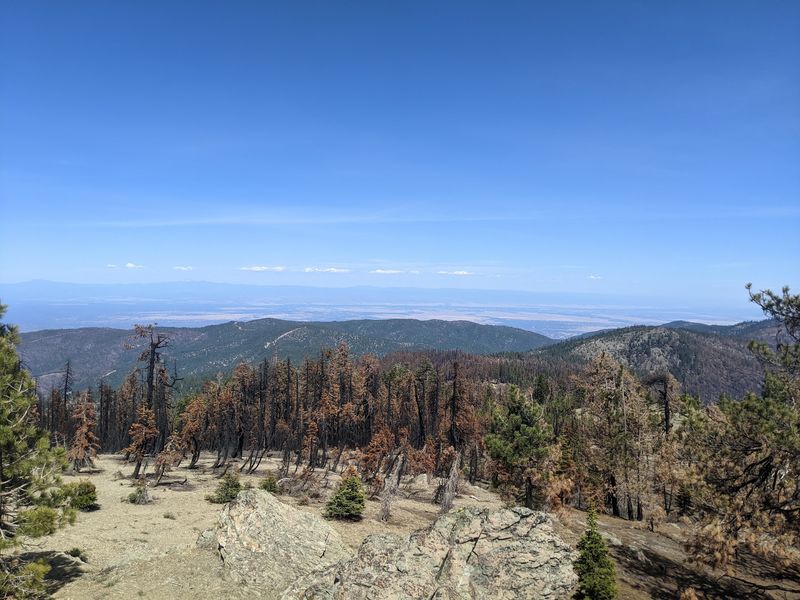Welcome To This California Forest Where Even The Ticks Come With A Warning - Decor Hint Nearly 54,000 Acres Make This A Serious Wilderness