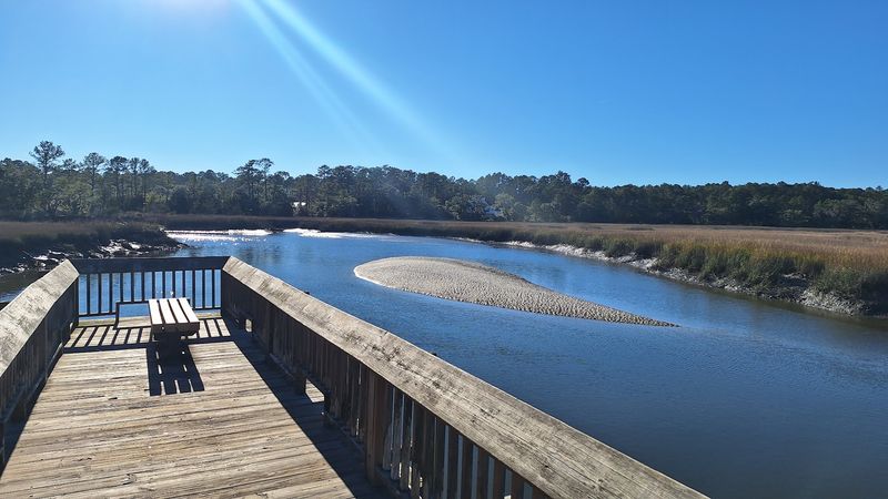 The Four-Mile Wildlife Drive That Changes Everything