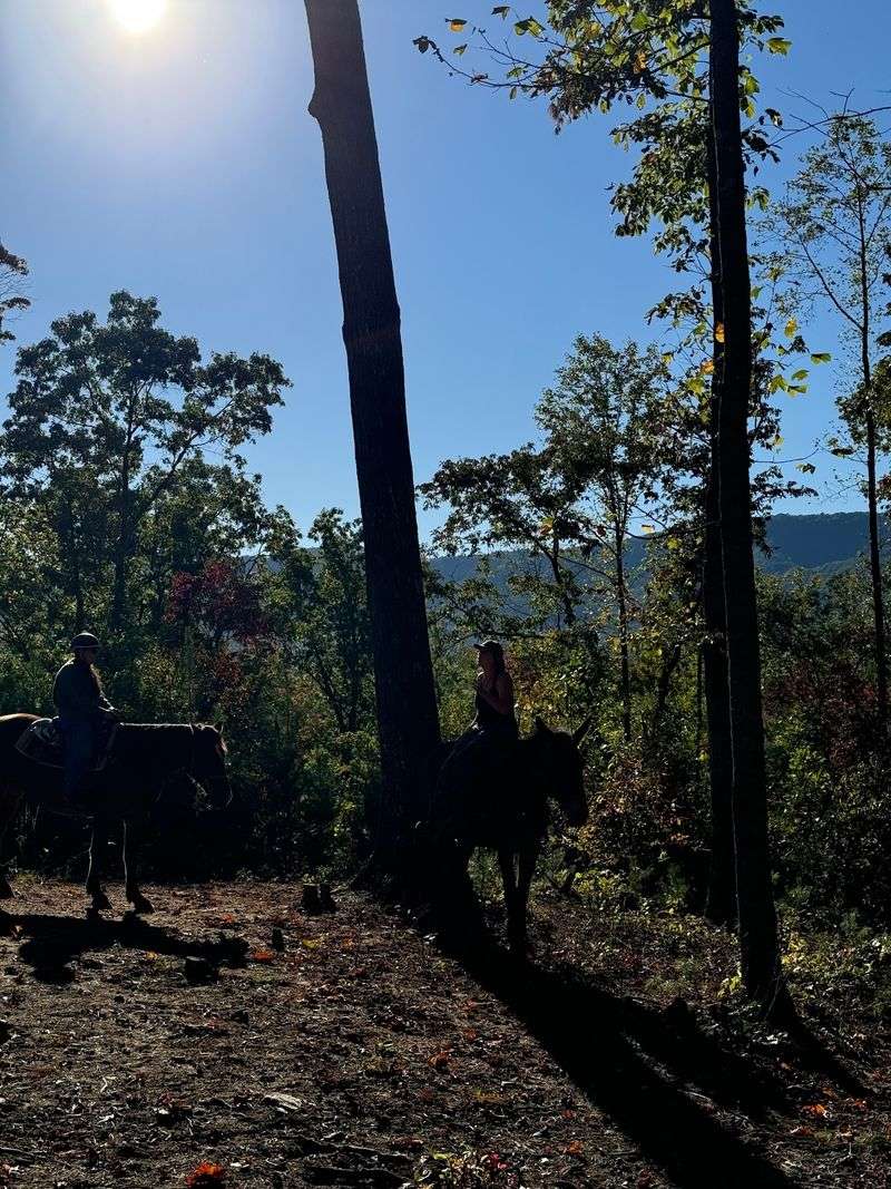 Sunset Rides When The Ridges Turn Gold