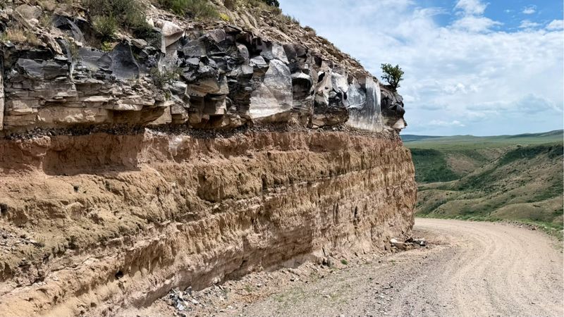The Rock Around Them Dates Back About 5.6 Million Years