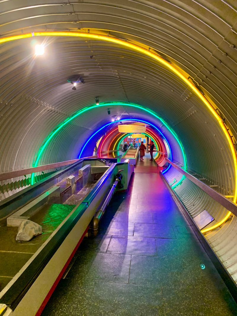 Rainbow Ramp And Sunlit Halls